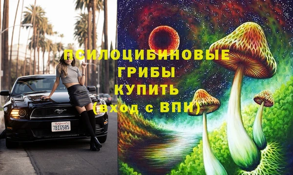гашик Верхнеуральск