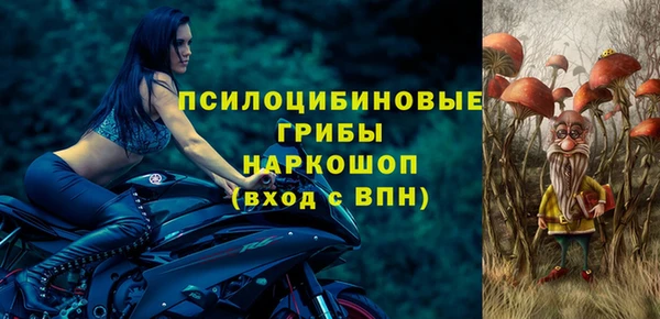 гашик Верхнеуральск