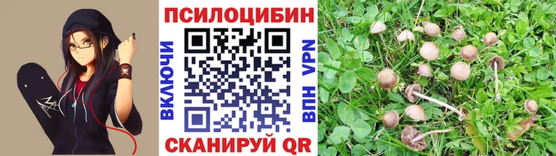 Галлюциногенные грибы мицелий  Вилюйск 